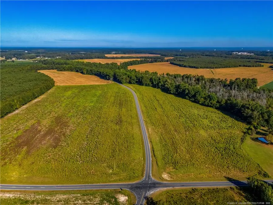 Lot 16 Daniel Mcleod Road, Red Springs, NC 28377 - #3