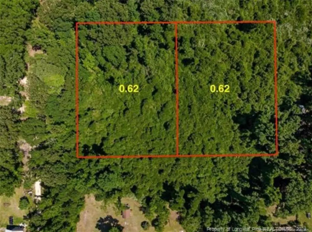 TBD Tbd-near Rockingham Rd Street, Maxton, NC 28364 - Image #1