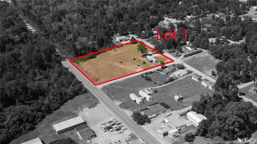 Lot 1 & Lot 2 W Williams Street, Autryville, NC 28318 - Image #2