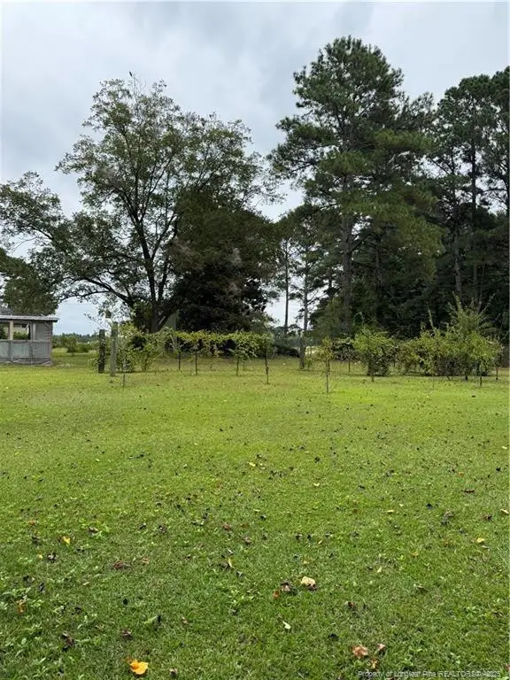 170 South River Road, Autryville, NC 28318 - Image #3