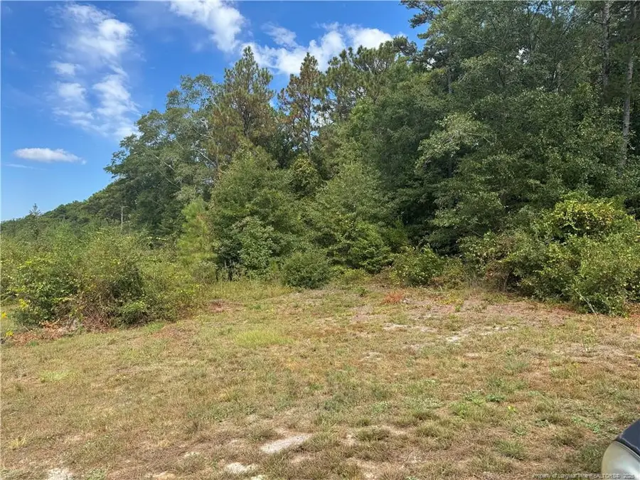 909 Wiregrass Road, Hamlet, NC 28345 - Image #2