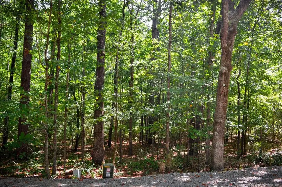 105 Shropshire Lane, West End, NC 27376 - Image #3