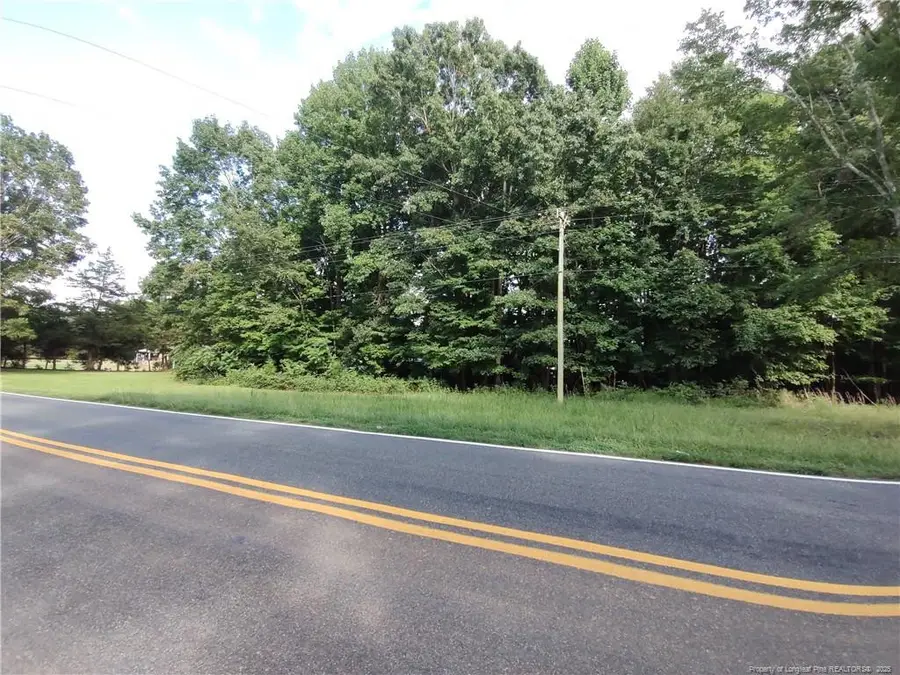 Buckhorn Road, Sanford, NC 27330 - Image #3