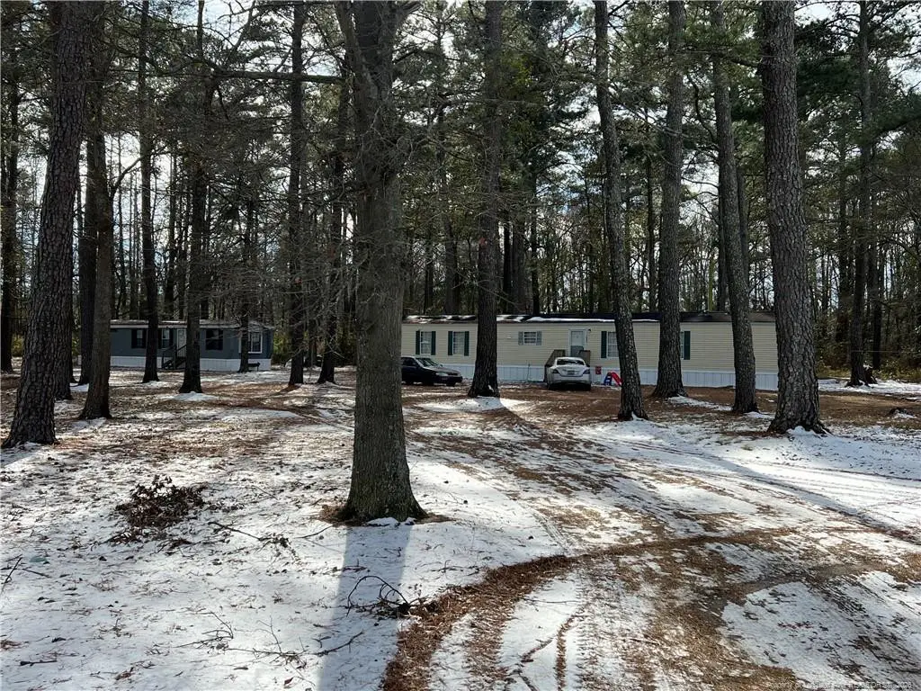 1002 & 1004 Old Baker Road, Maxton, NC 28364 - #1