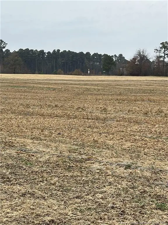 Lot 2 Nc 710 Highway N, Red Springs, NC 28377 - #3