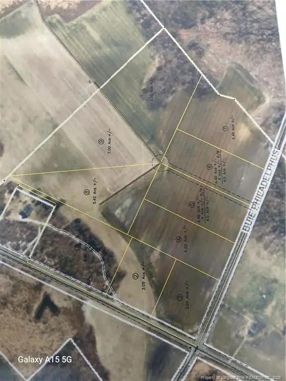 Lot 4 Buie Philadelphus Road, Red Springs, NC 28377 - #2