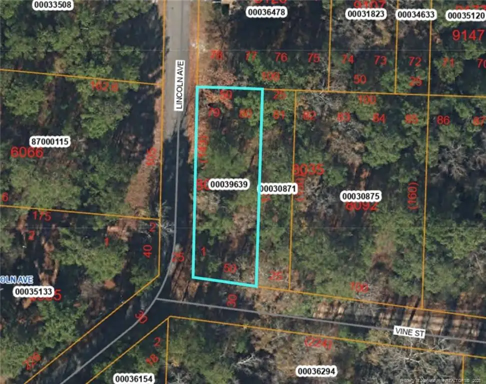 TBD Lincoln Avenue, Vass, NC 28394 - Image #1