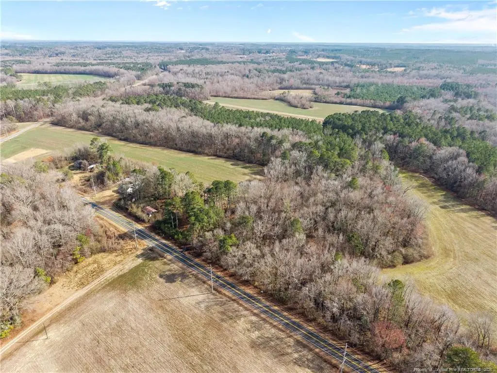1896 & 0 Clark Road, Lillington, NC 27546 - #1