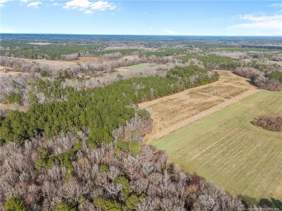 1896 & 0 Clark Road, Lillington, NC 27546 - #3