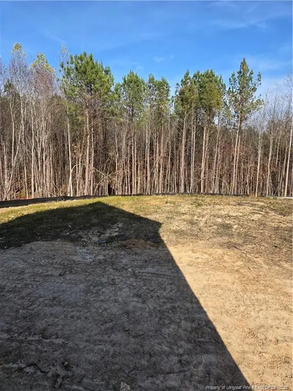 311 One Tree Hill, Sanford, NC 27330 - Image #3