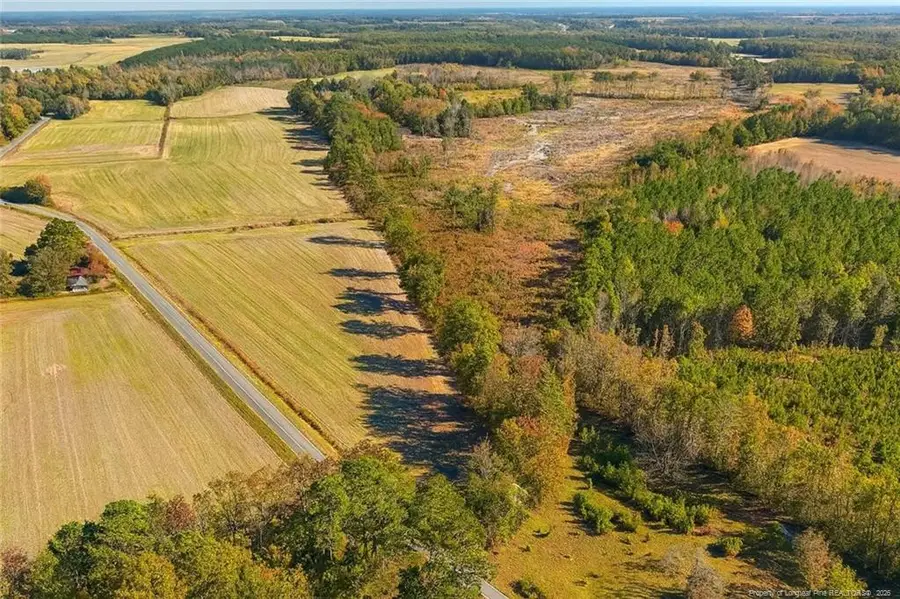 Lot 5 Barnesville Church Road, Orrum, NC 28369 - #3