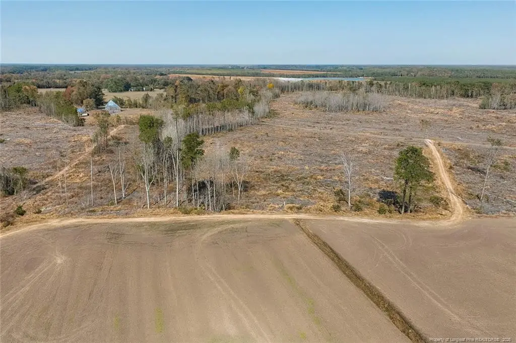 Lot 7 Barnesville Church Road, Orrum, NC 28369 - #1