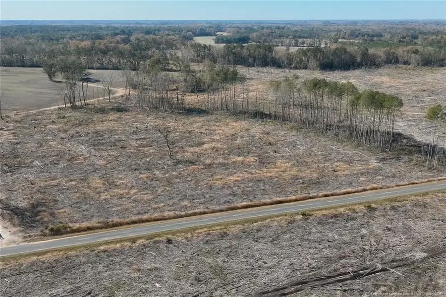 Lot 7 Barnesville Church Road, Orrum, NC 28369 - #2