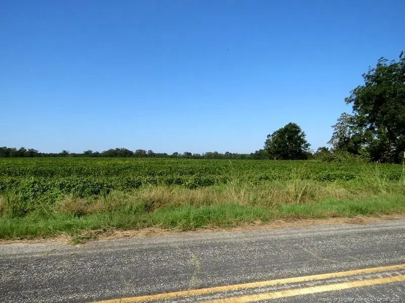 TBD Cowpen Swamp Road, Fairmont, NC 28340 - Image #2