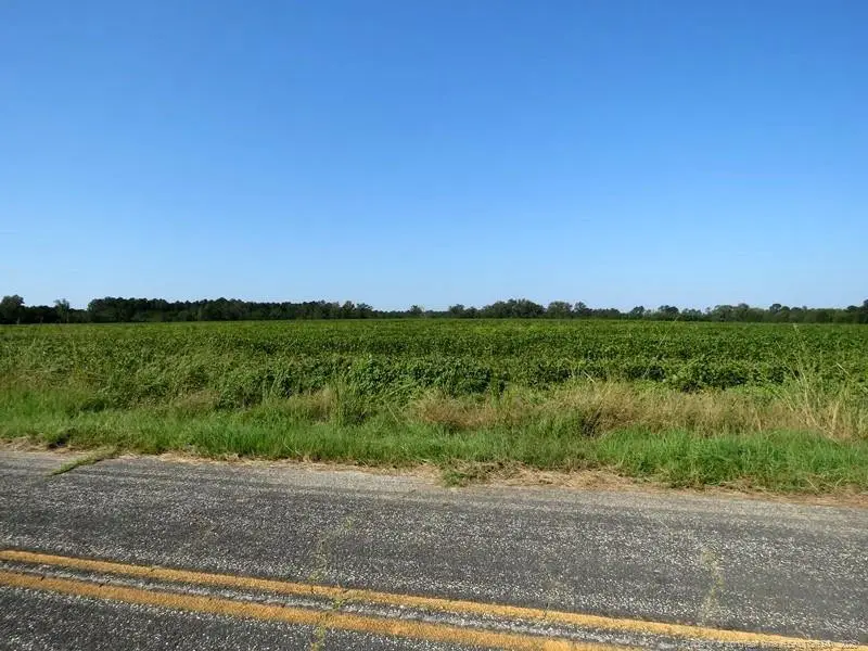 TBD Cowpen Swamp Road, Fairmont, NC 28340 - Image #3