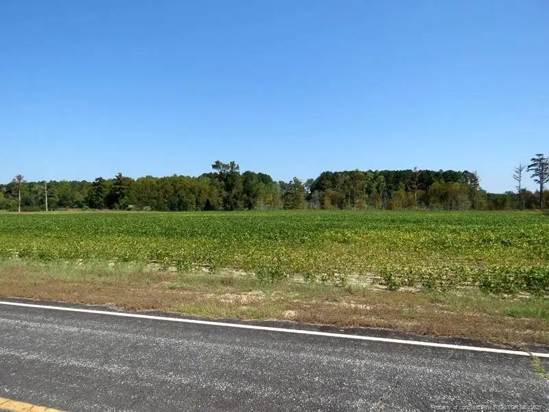 TBD Cowpen Swamp Road, Fairmont, NC 28340 - #3