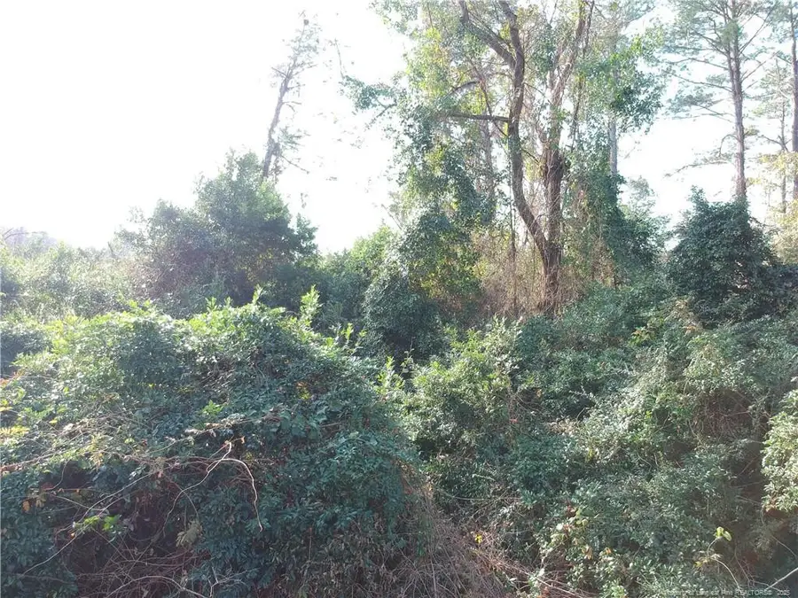 Blake Drive And Off Highway 401 Drive, Raeford, NC 28376 - Image #2