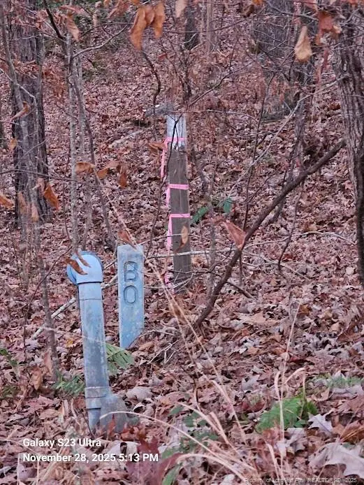 Natchez Trace, Fuquay Varina, NC 27526 - Image #3