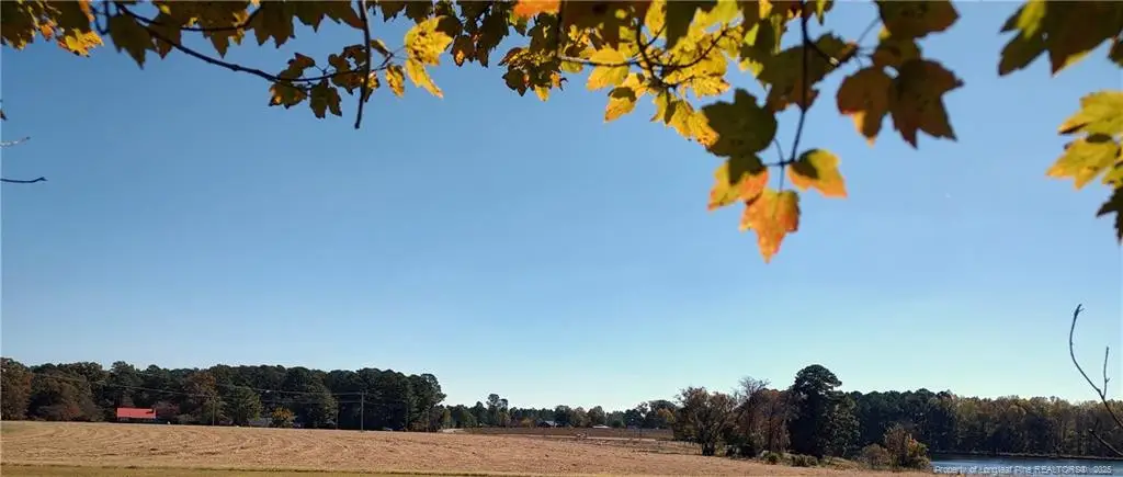 0 Castleberry Road, Sanford, NC 27332 - Image #1