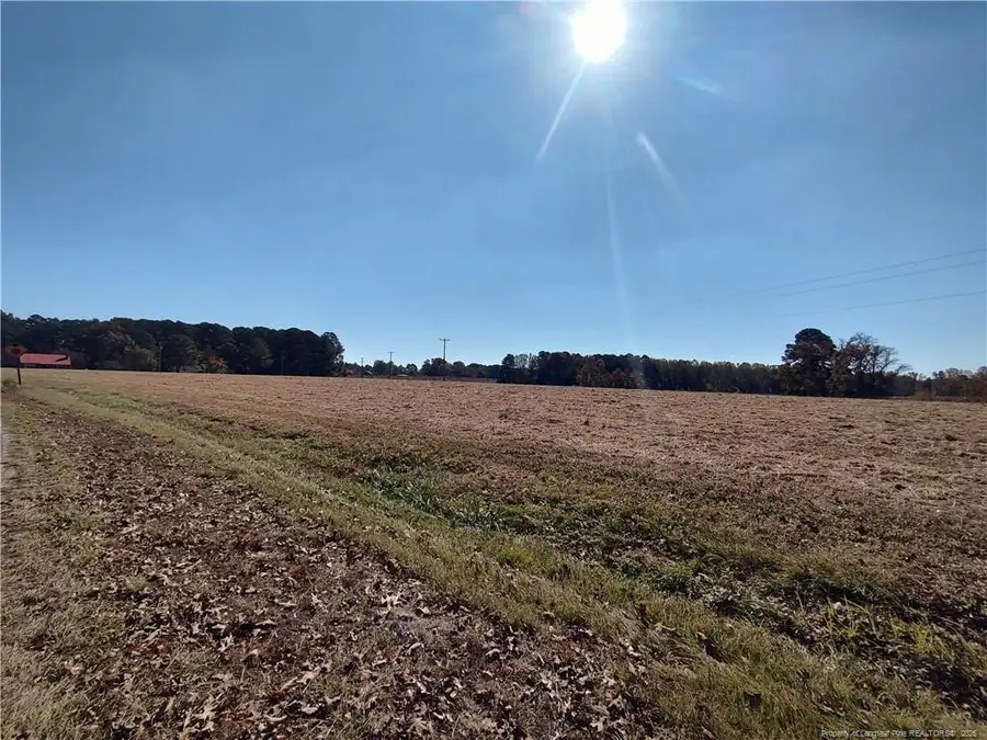 0 Castleberry Road, Sanford, NC 27332 - Image #3