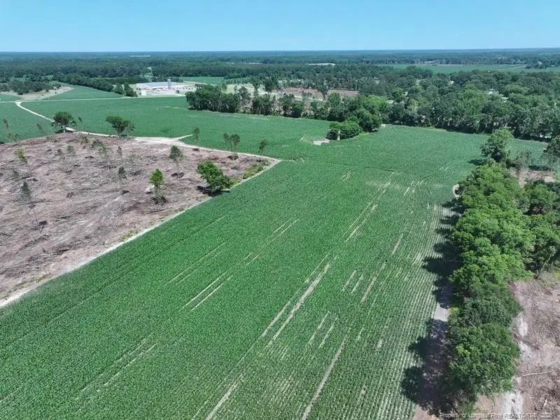 TBD Nc Hwy 71 Highway, Red Springs, NC 28377 - #3