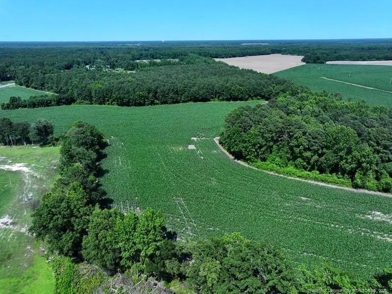 TBD Nc Hwy 71 Highway, Red Springs, NC 28377 - #2