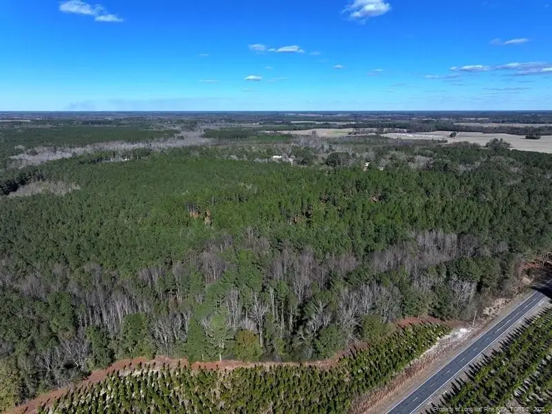 TBD Stuart's Mill Road, Fairmont, NC 28340 - Image #2