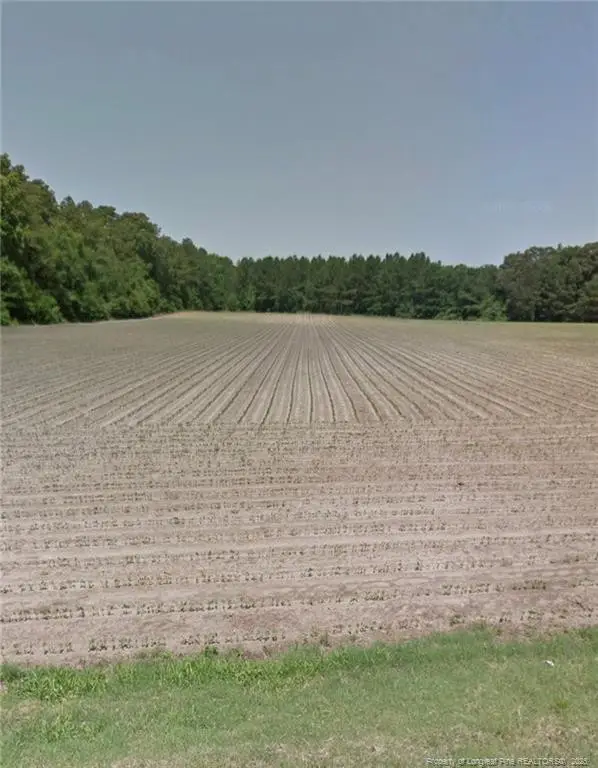 10660 Old Stage Road, Gibson, NC 28343 - Image #3