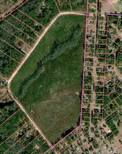 TBD Plantation Road, Laurinburg, NC 28352 - Image #3