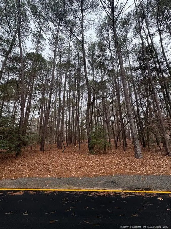 1790 Irish Boulevard, Sanford, NC 27332 - #3