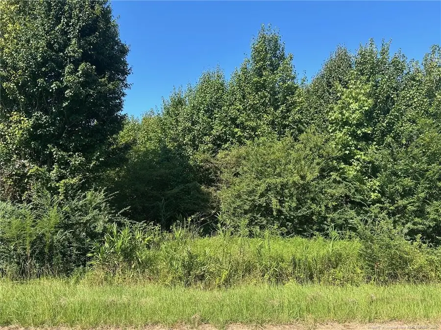 Dunn Road, Roseboro, NC 28382 - #2