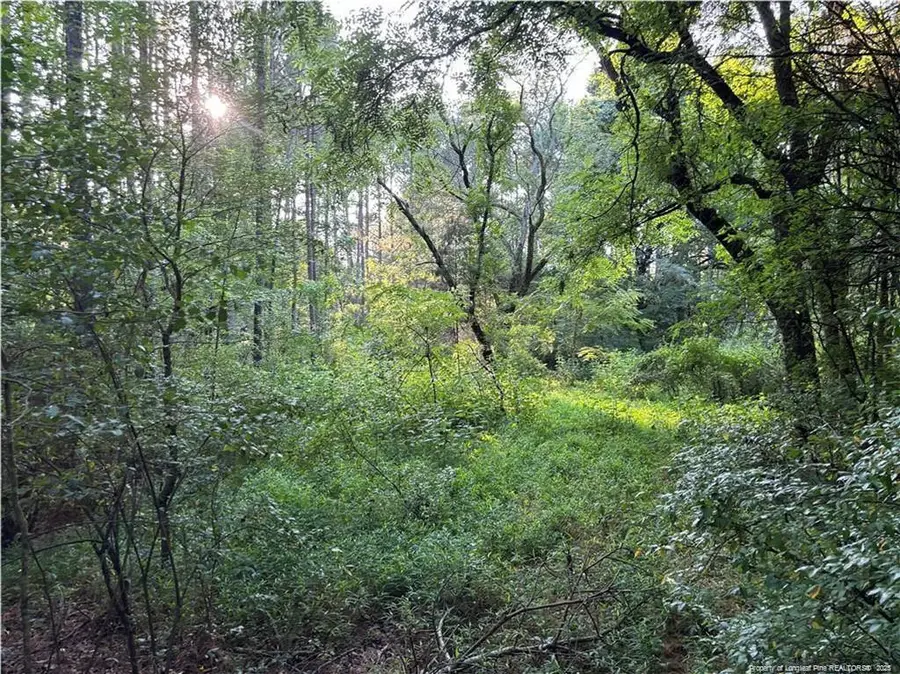 Christian Chapel Church Road, New Hill, NC 27562 - Image #2