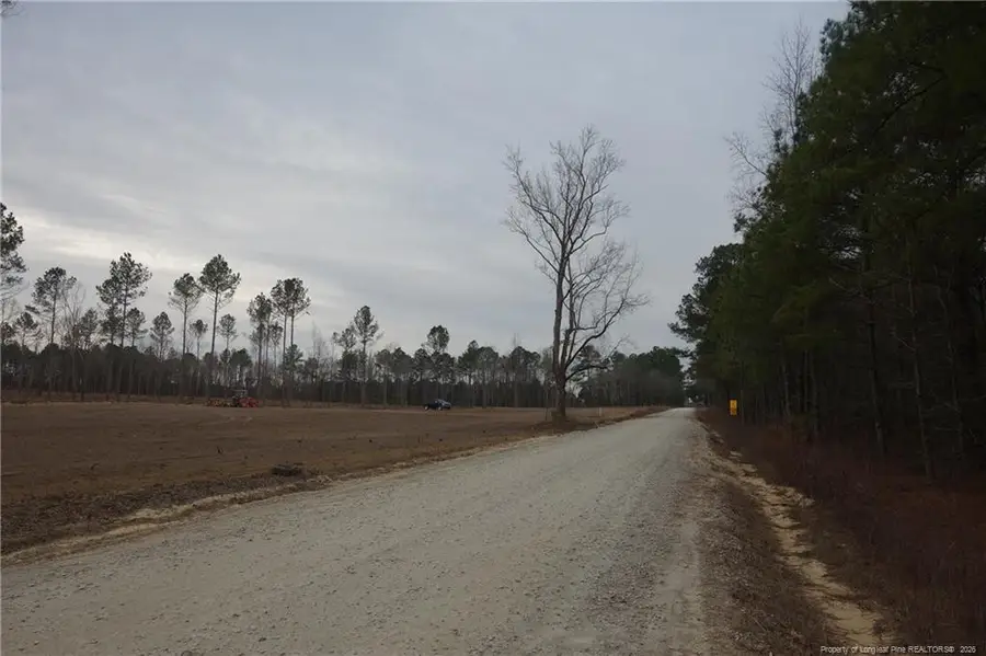 Lot 11 Sand Rock Road, Fairmont, NC 28340 - #2