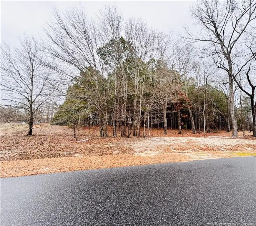 Shelton Beard Road, Fayetteville, NC 28312 - Image #2