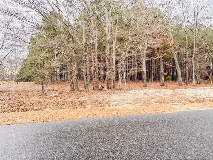 Shelton Beard Road, Fayetteville, NC 28312 - Image #3