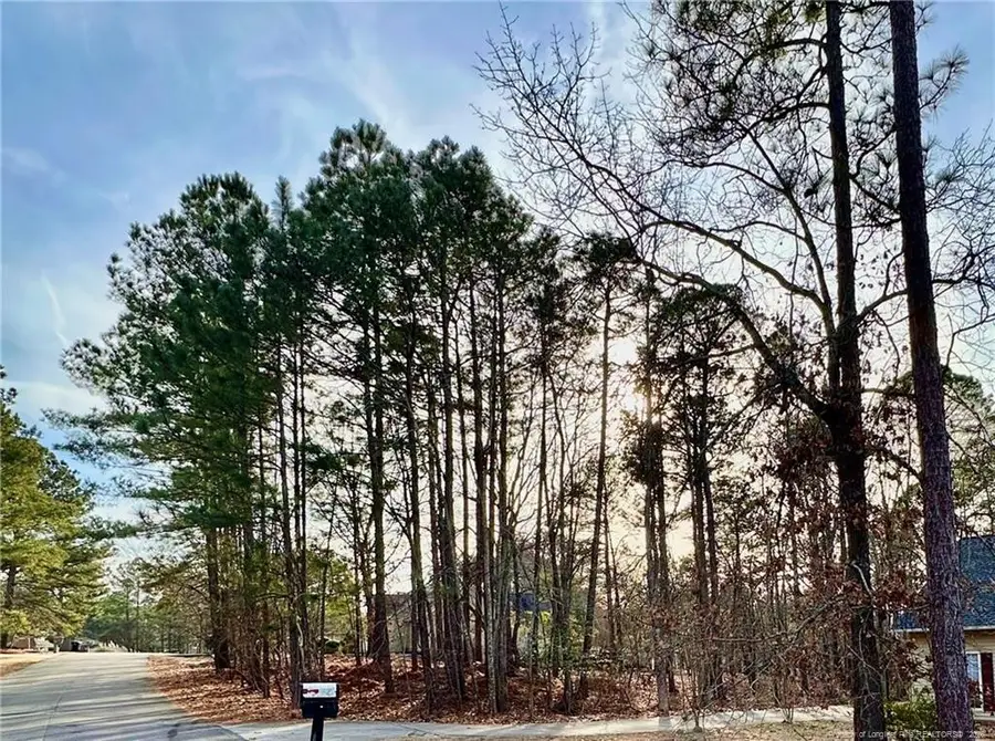 56 Lotus Lane, Sanford, NC 27332 - Image #3