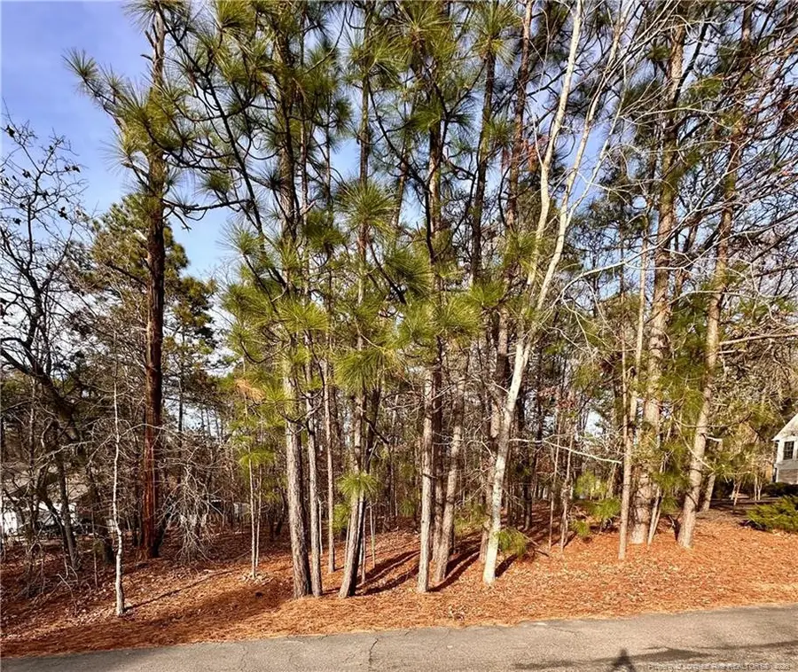 36 Magnolia Court, Sanford, NC 27332 - Image #3