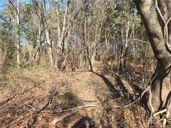 1313 Cory Circle, Eastover, NC 28312