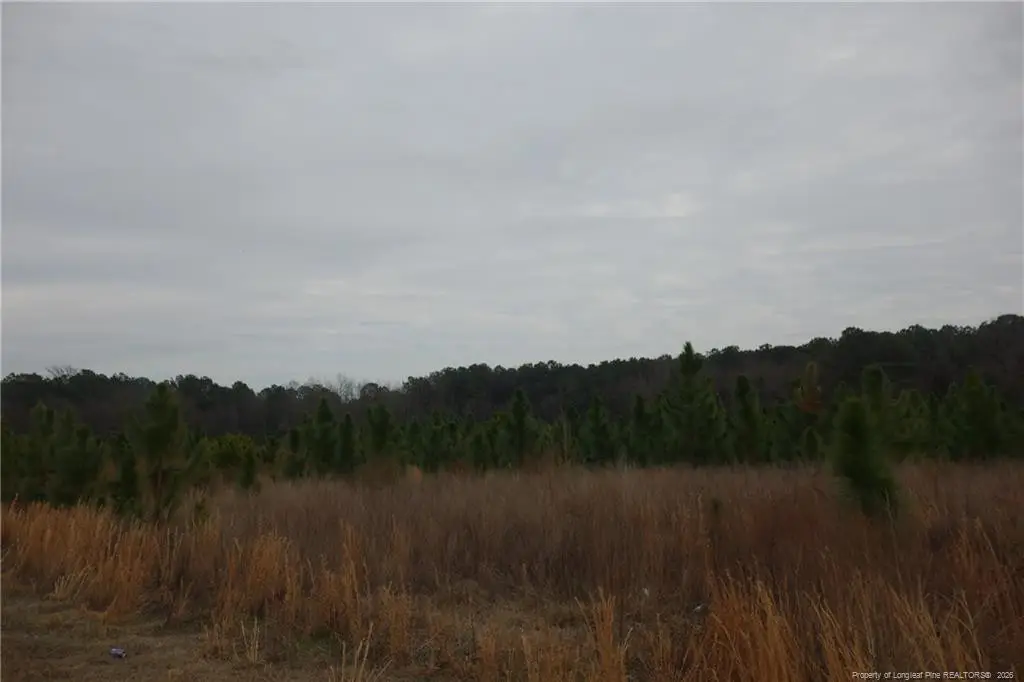 Lot 43 Stuarts Mill Road, Fairmont, NC 28340 - #1