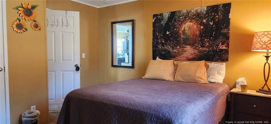 21080 Salley Mcnair Road, Laurinburg, NC 28352 - #3