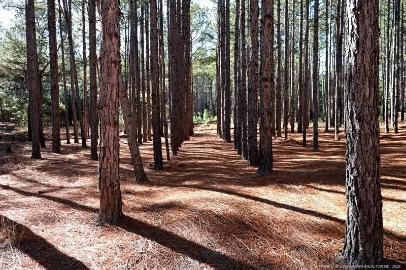 Stuarts Mill Road, Fairmont, NC 28340 - #2