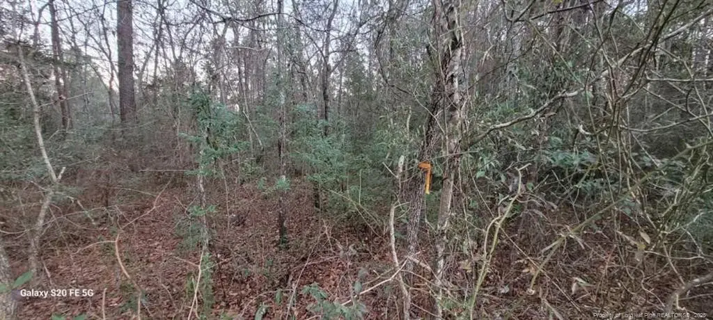 0 Melie Lee Road, Fayetteville, NC 28312 - Image #1