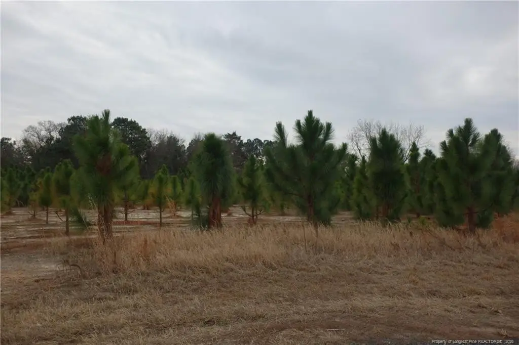 Lot 41 Stuarts Mill Road, Fairmont, NC 28340 - #1