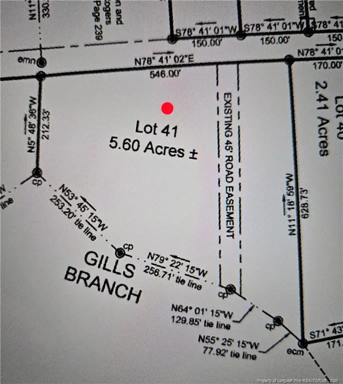 Lot 41 Stuarts Mill Road, Fairmont, NC 28340 - #2