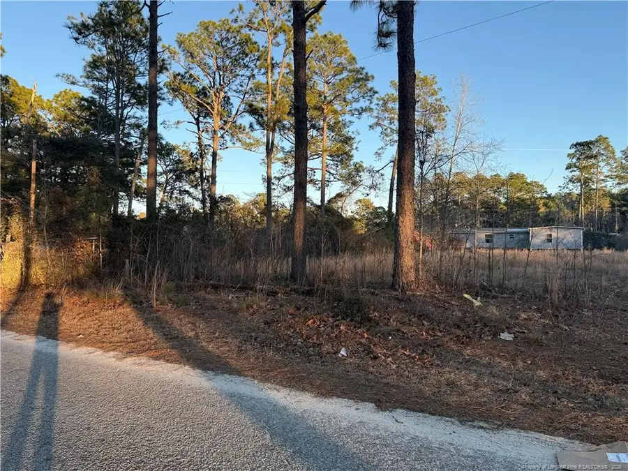 4821 Madison Drive, Hope Mills, NC 28348 - #2