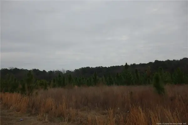 Lot 33 Stuarts Mill Road, Fairmont, NC 28340