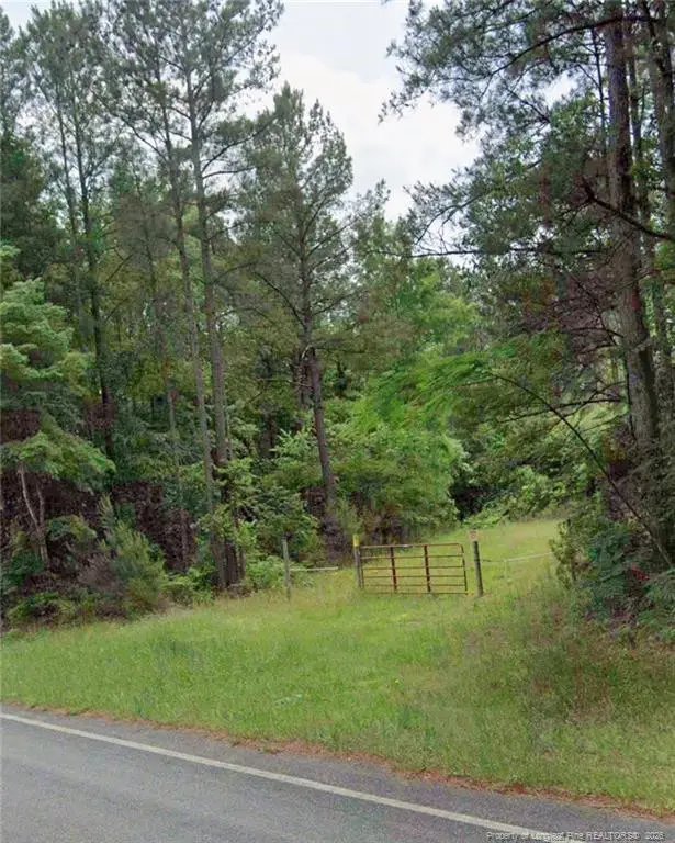 Lot 4 S Plank Road, Sanford, NC 27330 - #3