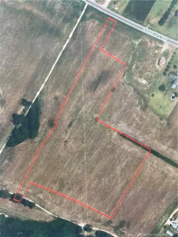 11.1 acres Deep Branch Road, Pembroke, NC 28372 - #2