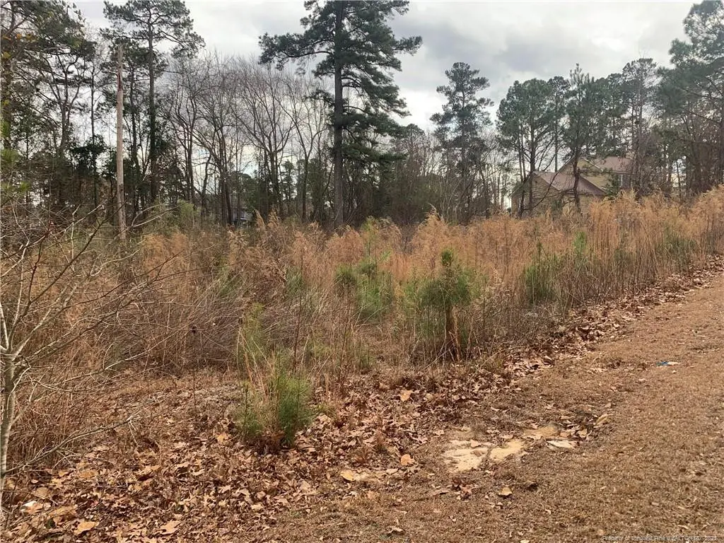 0 Brookridge Drive, Cameron, NC 28326 - #1