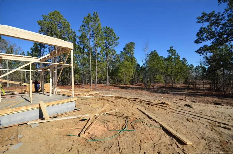 270 D L Phillips (lot 4) Lane, Broadway, NC 27505 - #3